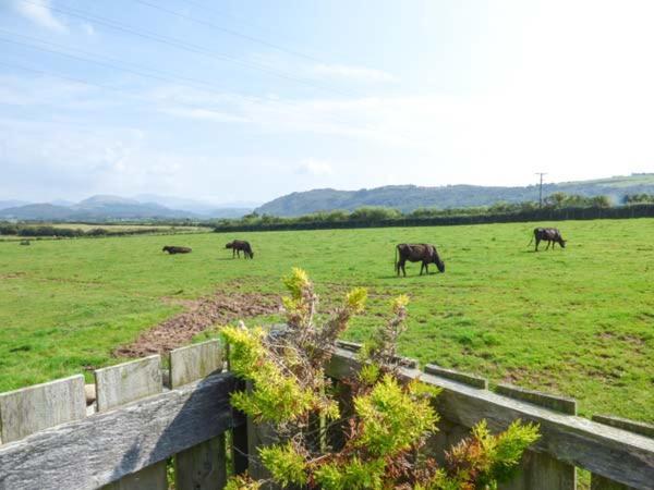 Surprise View Villa Holmrook Exterior photo